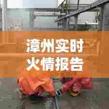 漳州实时火情报告查询，漳州实时火情报告查询 