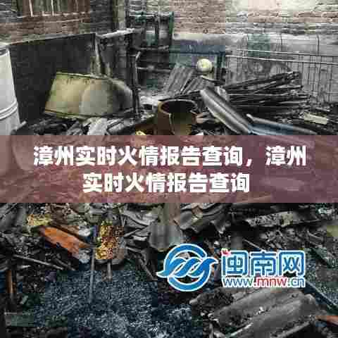 漳州实时火情报告查询,漳州实时火情报告查询