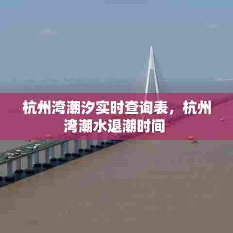杭州湾潮汐实时查询表,杭州湾潮水退潮时间