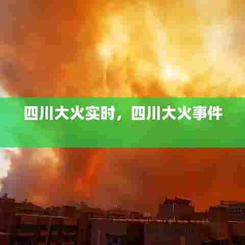 四川大火实时,四川大火事件