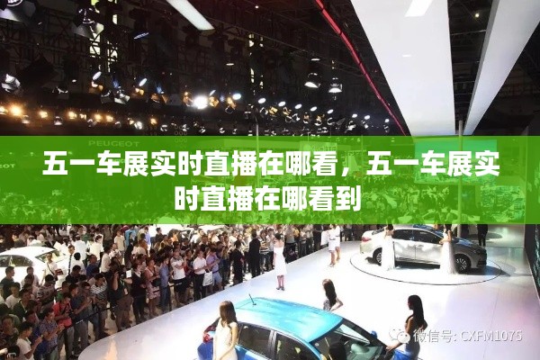 五一车展实时直播在哪看,五一车展实时直播在哪看到