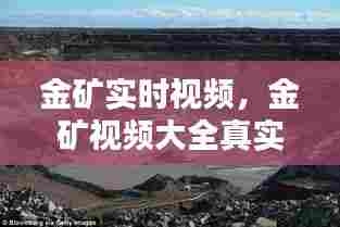 金矿实时视频,金矿视频大全真实