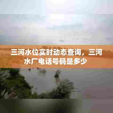 三河水位实时动态查询,三河水厂电话号码是多少