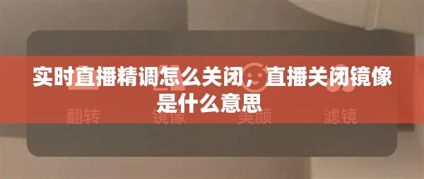 实时直播精调怎么关闭,直播关闭镜像是什么意思