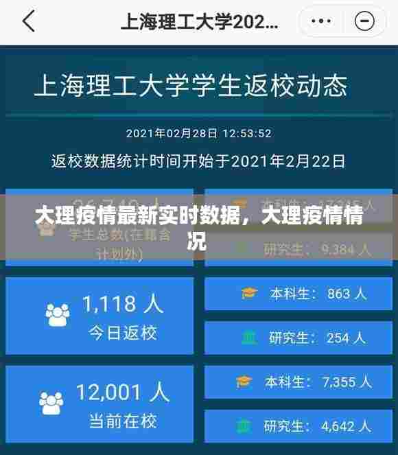 大理疫情最新实时数据,大理疫情情况