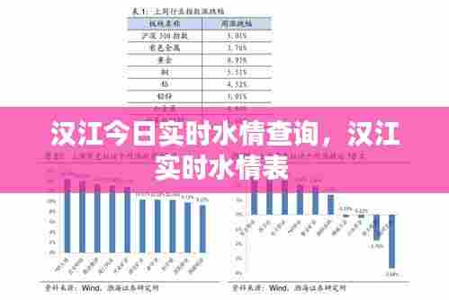 汉江今日实时水情查询,汉江实时水情表