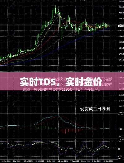 实时TDS，实时金价 