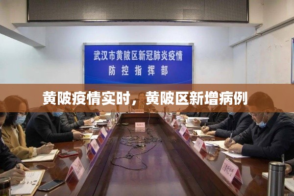 黄陂疫情实时，黄陂区新增病例 