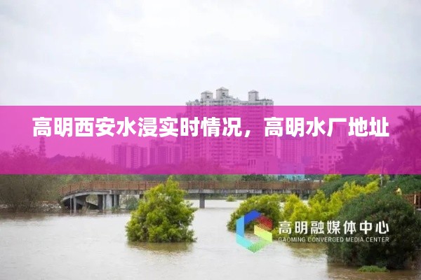 高明西安水浸实时情况,高明水厂地址