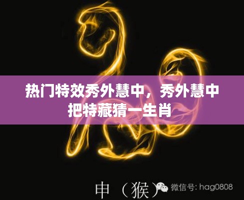 热门特效秀外慧中,秀外慧中把特藏猜一生肖