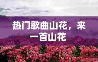 热门歌曲山花,来一首山花