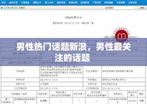男性热门话题新浪,男性最关注的话题