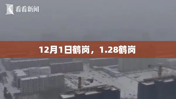 12月1日鹤岗,1.28鹤岗