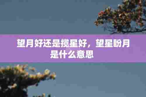 望月好还是揽星好,望星盼月是什么意思