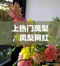 上热门凤梨，凤梨网红 