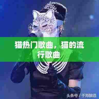 猫热门歌曲,猫的流行歌曲