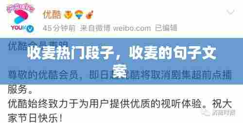 收麦热门段子，收麦的句子文案 