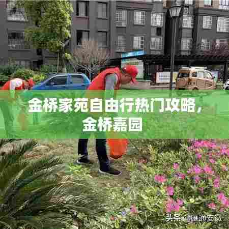 金桥家苑自由行热门攻略，金桥嘉园 