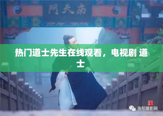 热门道士先生在线观看，电视剧 道士 