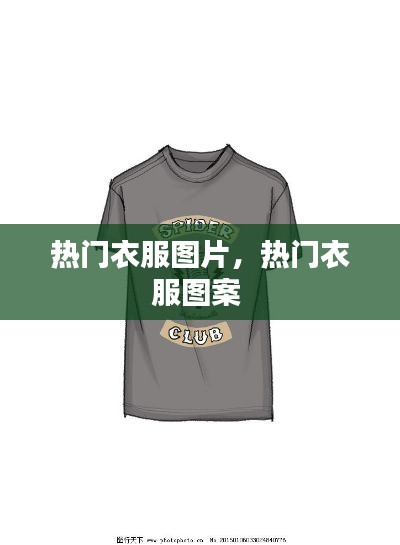 热门衣服图片,热门衣服图案