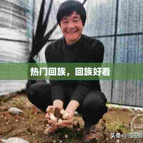 热门回族,回族好看