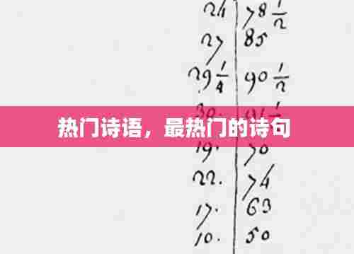 热门诗语，最热门的诗句 