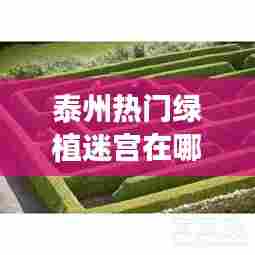 泰州热门绿植迷宫在哪,泰州植物园最新消息