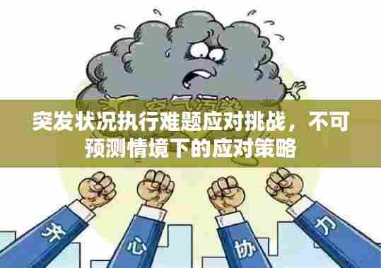 突发状况执行难题应对挑战,不可预测情境下的应对策略