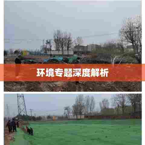 环境专题深度解析