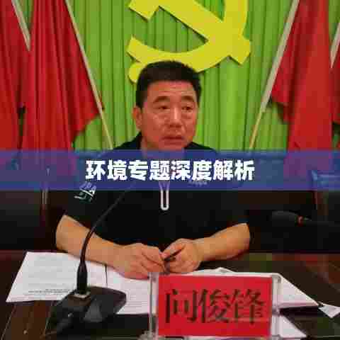 环境专题深度解析