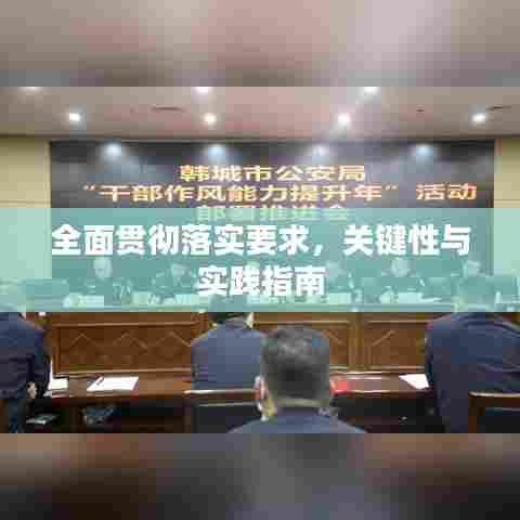 全面贯彻落实要求，关键性与实践指南