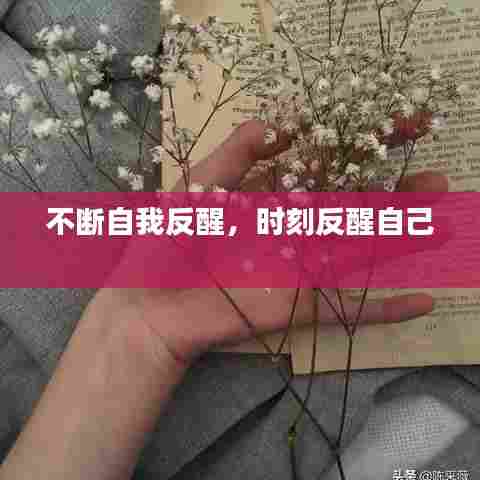 不断自我反醒,时刻反醒自己