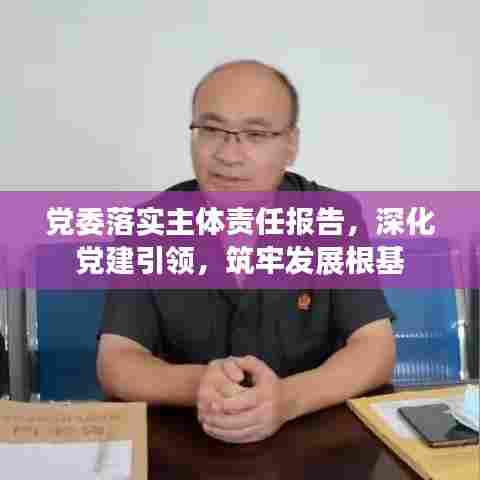 党委落实主体责任报告,深化党建引领,筑牢发展根基