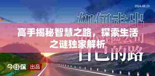 高手揭秘智慧之路，探索生活之谜独家解析
