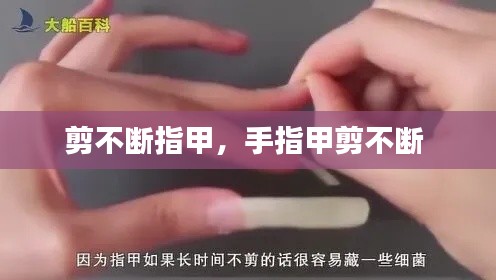 剪不断指甲,手指甲剪不断