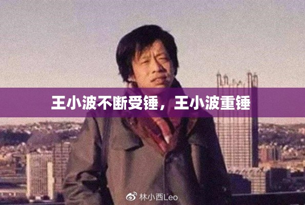 王小波不断受锤，王小波重锤 