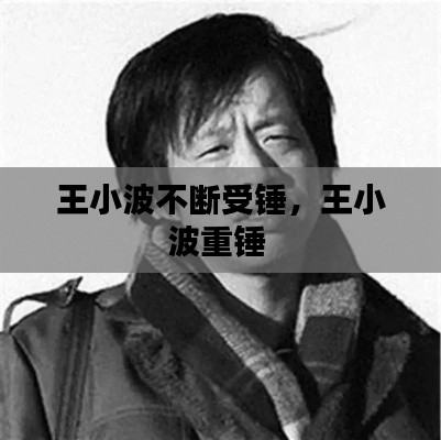 王小波不断受锤,王小波重锤