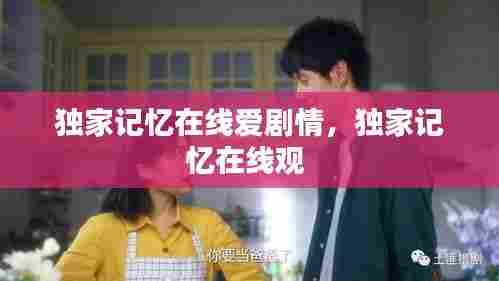 独家记忆在线爱剧情,独家记忆在线观