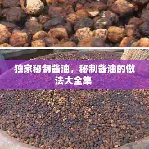 独家秘制酱油,秘制酱油的做法大全集