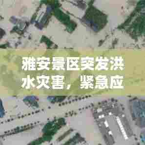 雅安景区突发洪水灾害,紧急应对!