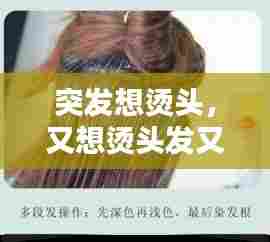 突发想烫头,又想烫头发又想染头发怎么办