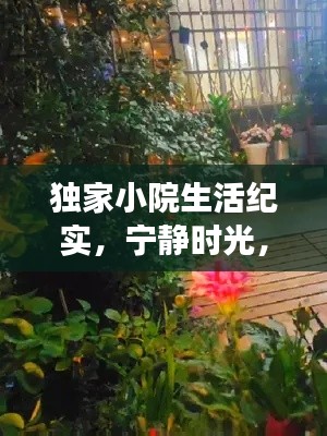 独家小院生活纪实，宁静时光，视频中的悠然之旅