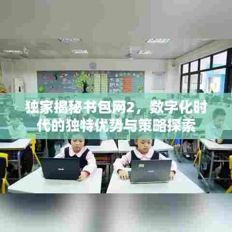 独家揭秘书包网2,数字化时代的独特优势与策略探索