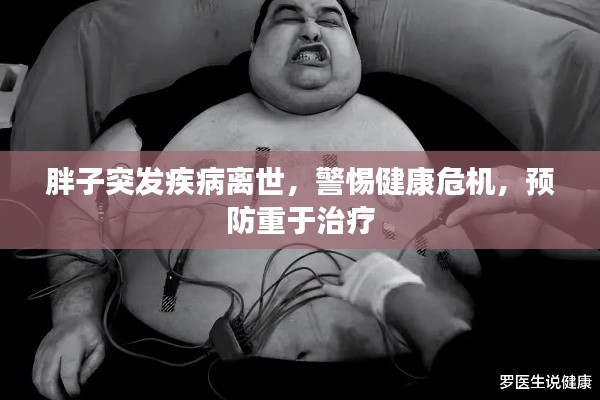 胖子突发疾病离世，警惕健康危机，预防重于治疗