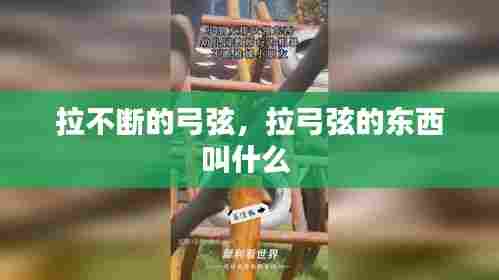 拉不断的弓弦,拉弓弦的东西叫什么