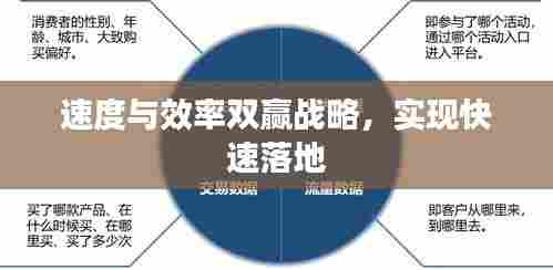 速度与效率双赢战略,实现快速落地