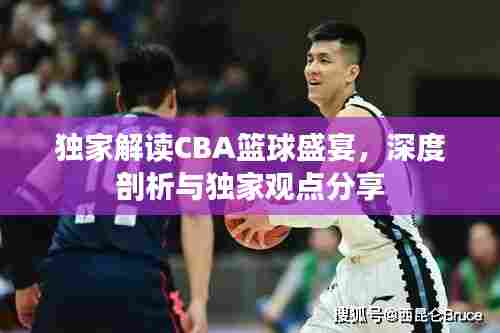 独家解读CBA篮球盛宴,深度剖析与独家观点分享