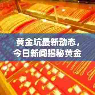 黄金坑最新动态,今日新闻揭秘黄金市场新动向