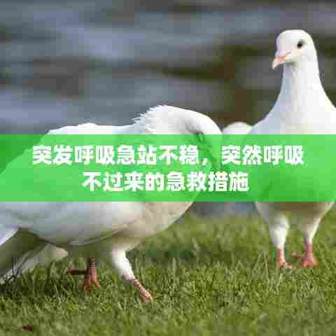 突发呼吸急站不稳,突然呼吸不过来的急救措施