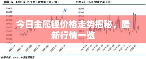 今日金属锂价格走势揭秘,最新行情一览
